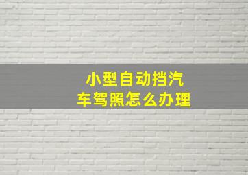 小型自动挡汽车驾照怎么办理