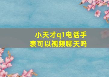 小天才q1电话手表可以视频聊天吗