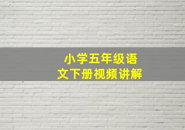 小学五年级语文下册视频讲解