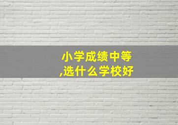 小学成绩中等,选什么学校好