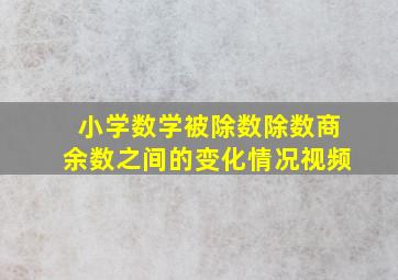 小学数学被除数除数商余数之间的变化情况视频