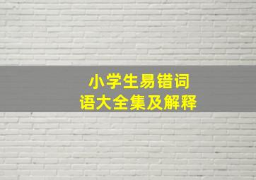 小学生易错词语大全集及解释