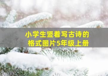 小学生竖着写古诗的格式图片5年级上册