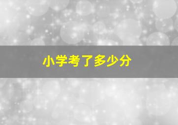 小学考了多少分