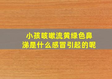 小孩咳嗽流黄绿色鼻涕是什么感冒引起的呢