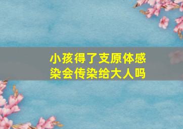 小孩得了支原体感染会传染给大人吗