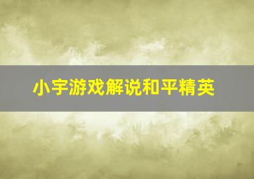 小宇游戏解说和平精英