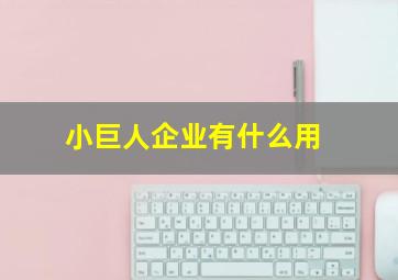 小巨人企业有什么用