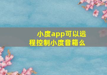 小度app可以远程控制小度音箱么