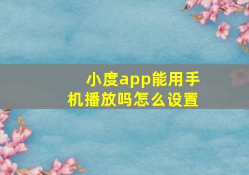 小度app能用手机播放吗怎么设置