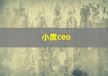 小度ceo