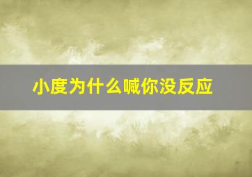 小度为什么喊你没反应