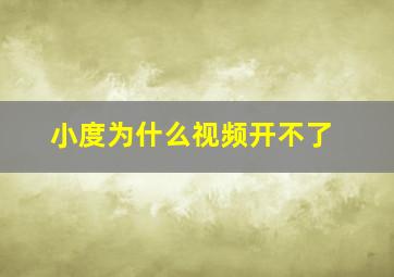 小度为什么视频开不了