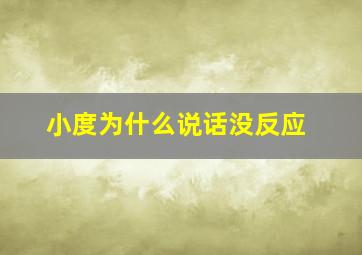 小度为什么说话没反应