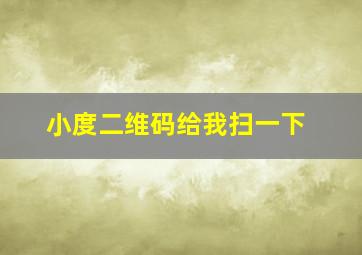 小度二维码给我扫一下