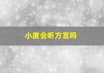 小度会听方言吗