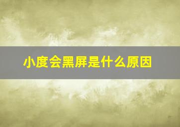 小度会黑屏是什么原因