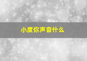 小度你声音什么