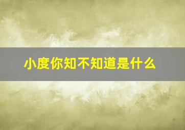 小度你知不知道是什么