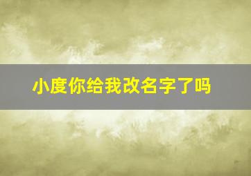 小度你给我改名字了吗