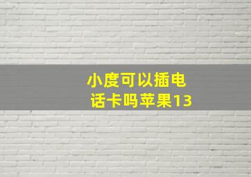 小度可以插电话卡吗苹果13