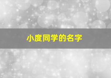 小度同学的名字