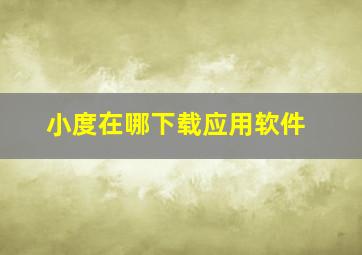 小度在哪下载应用软件