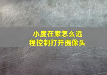 小度在家怎么远程控制打开摄像头