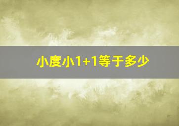 小度小1+1等于多少