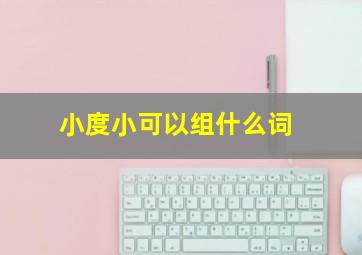 小度小可以组什么词