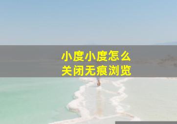 小度小度怎么关闭无痕浏览