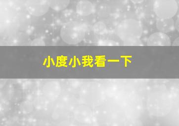 小度小我看一下