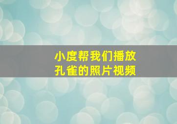 小度帮我们播放孔雀的照片视频