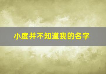 小度并不知道我的名字