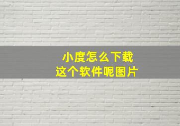 小度怎么下载这个软件呢图片