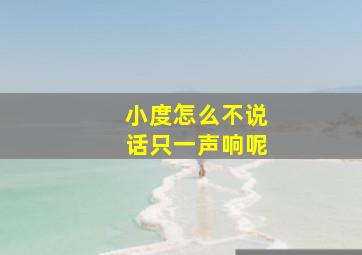 小度怎么不说话只一声响呢