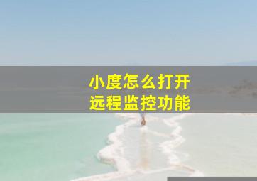 小度怎么打开远程监控功能