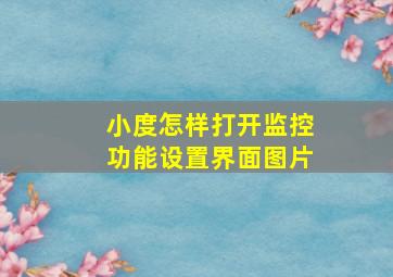 小度怎样打开监控功能设置界面图片