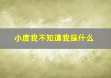 小度我不知道我是什么