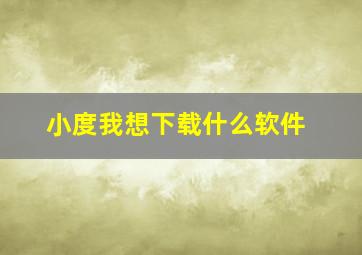 小度我想下载什么软件