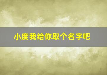 小度我给你取个名字吧