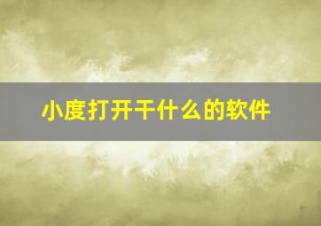 小度打开干什么的软件