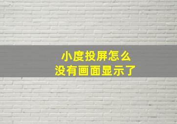 小度投屏怎么没有画面显示了