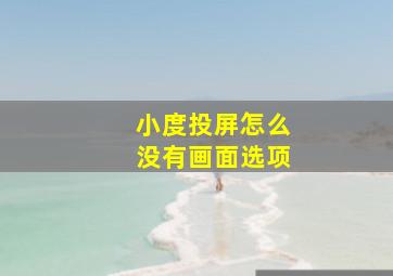 小度投屏怎么没有画面选项