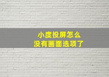 小度投屏怎么没有画面选项了