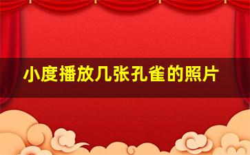 小度播放几张孔雀的照片