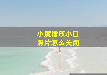 小度播放小白照片怎么关闭