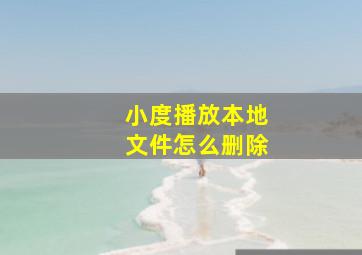 小度播放本地文件怎么删除