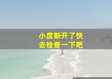 小度断开了快去检查一下吧