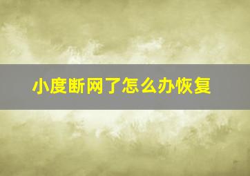 小度断网了怎么办恢复